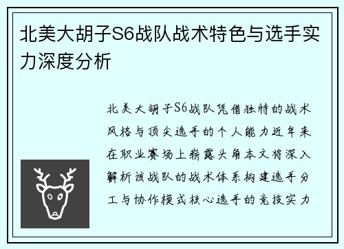 北美大胡子S6战队战术特色与选手实力深度分析