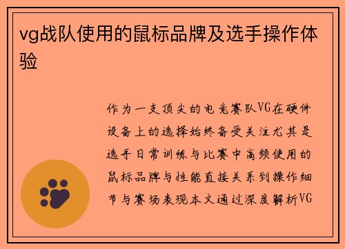 vg战队使用的鼠标品牌及选手操作体验